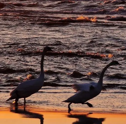 Chata Stodoly Na Fali *